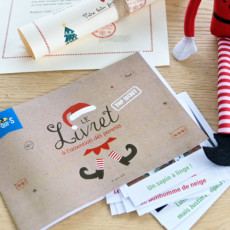 idees farces lutin farceur