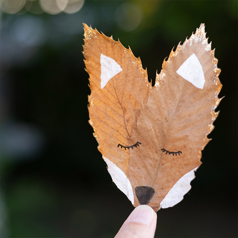 Easy-to-make Fox DIY this autumn!